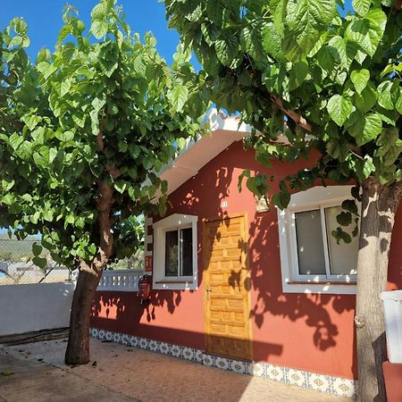 Camping Los Pinos Peñíscola Esterno foto